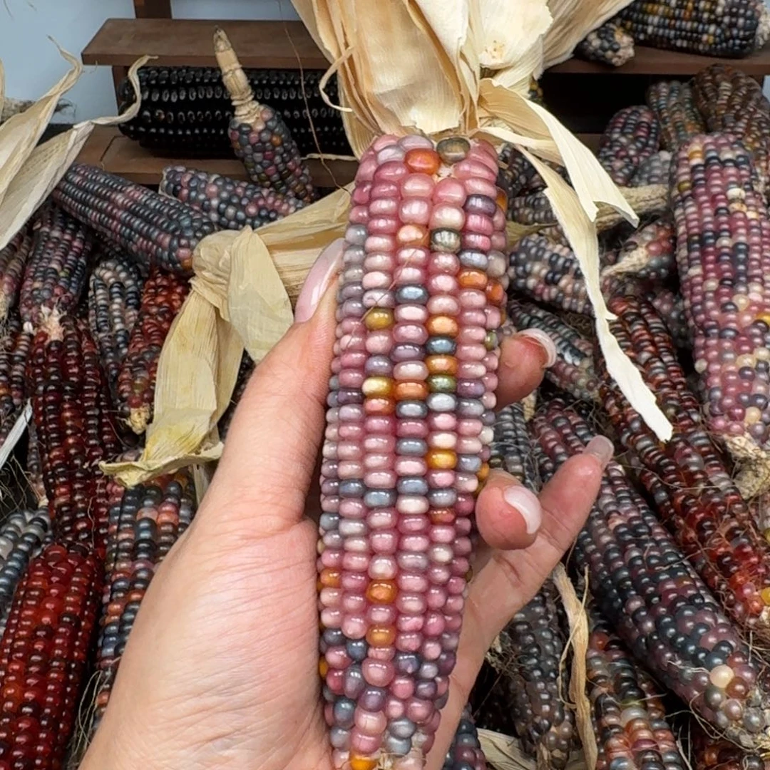 柏香籽/百香籽吊坠?***面