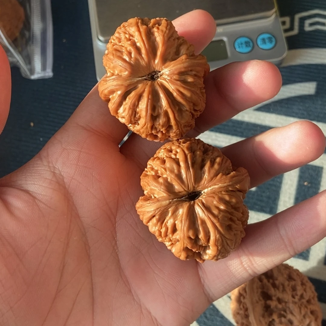 奔***灞43尺全品元宝打底