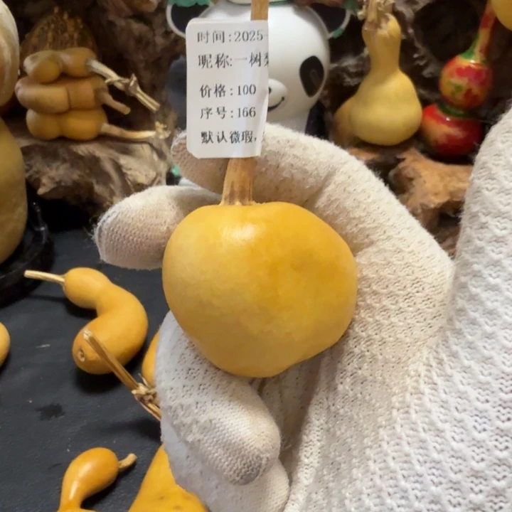 一***花66666666666666666