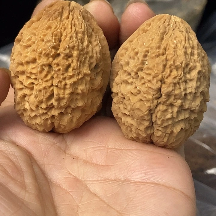 文玩核桃把件云南铁核桃基地43