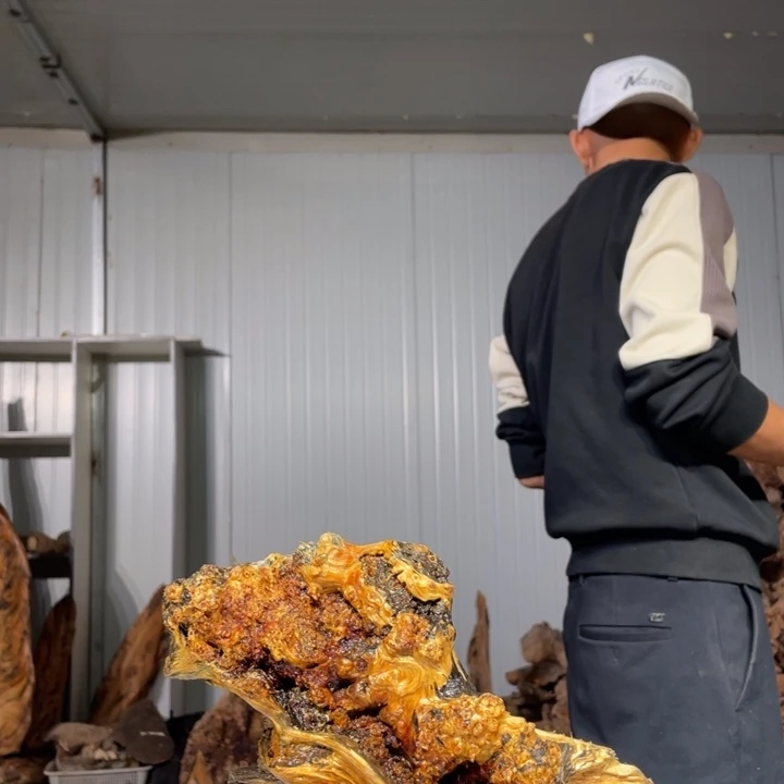 茶***界木材猛子琥珀木摆件24