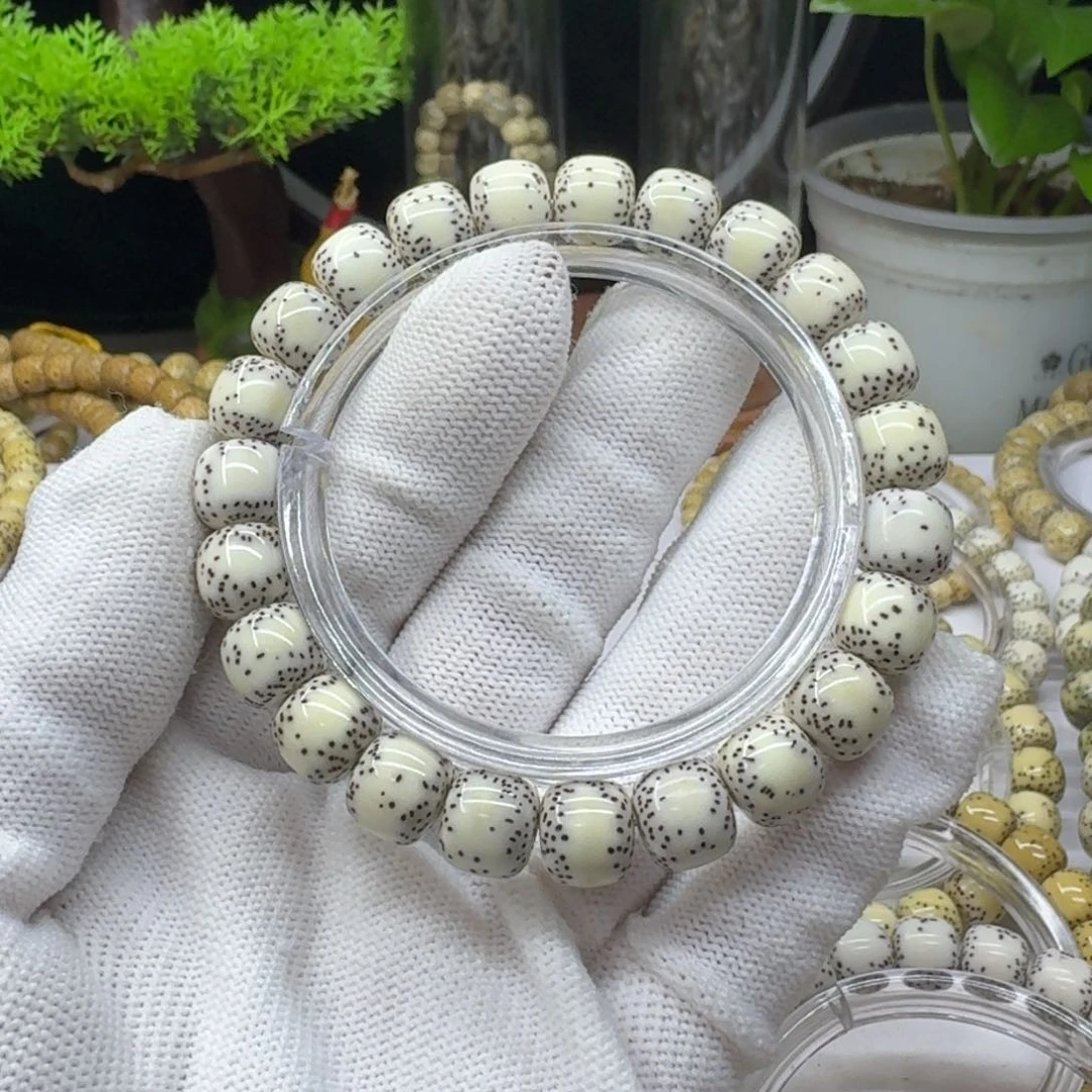 星月菩提手串住****王10/9原生态