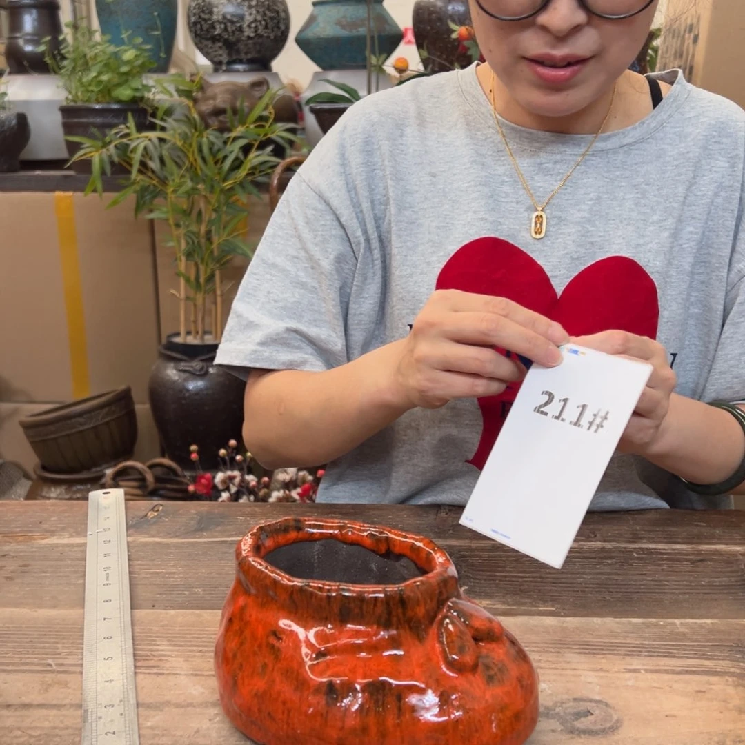 211111111111111111111