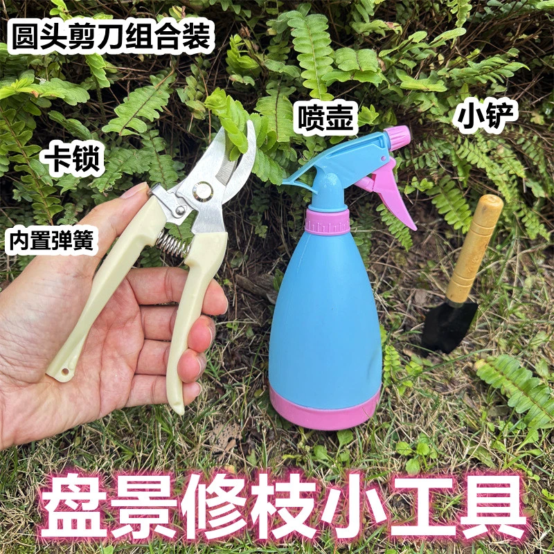 锋利花艺剪修花专业花艺手工多功能嫁接家用大号加厚省力圆头尖嘴