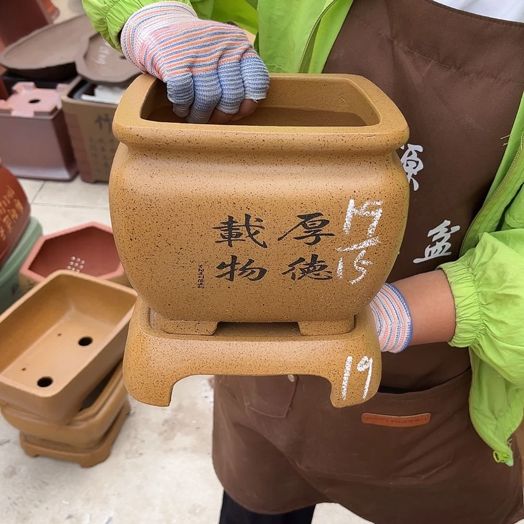 紫砂花盆盆景艺术