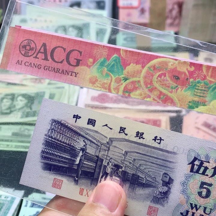 逍遥直播间退市纺织一张直版