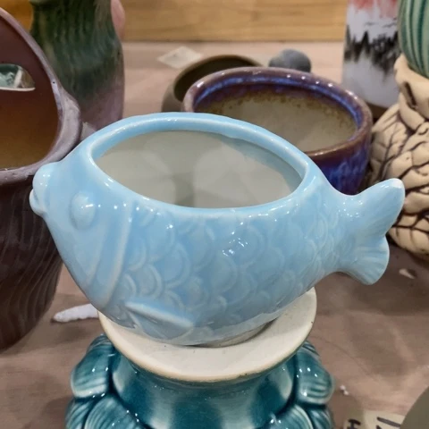 对嘴鱼3133133131331