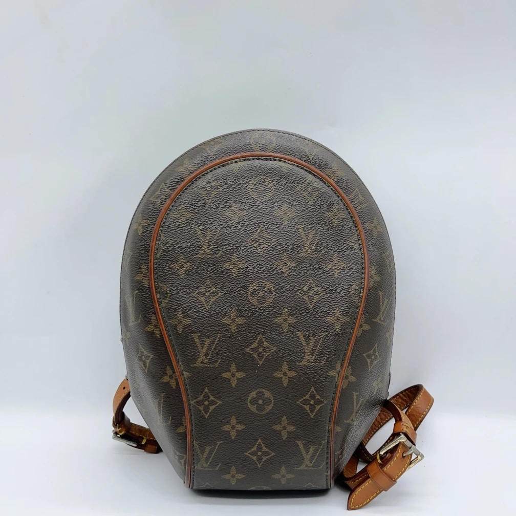 95新 LouisVuitton/路易威登  老花双肩包  1516 5602