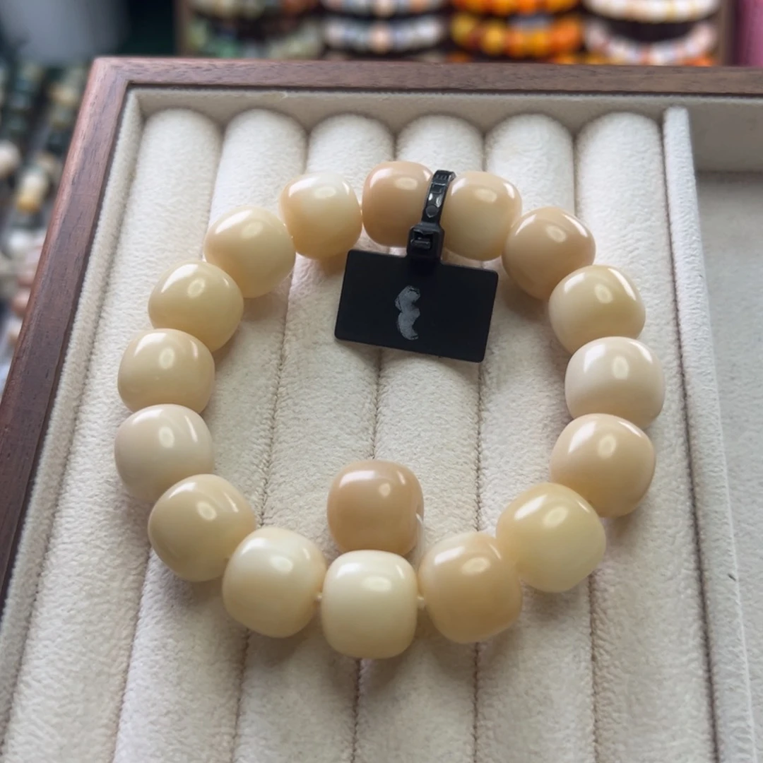 菩提根/象牙果手串卡14桶珠奶粉全品3