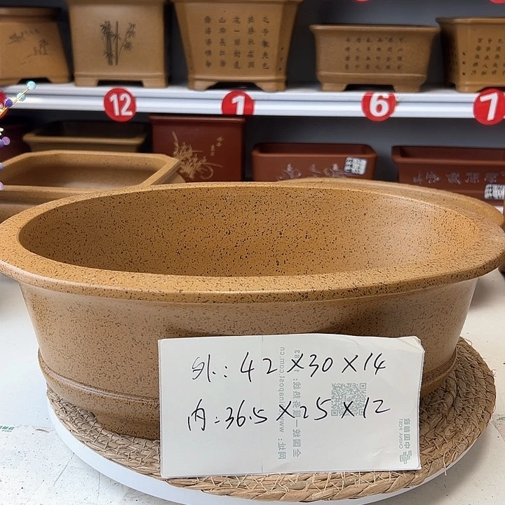 紫砂花盆蛇年大吉