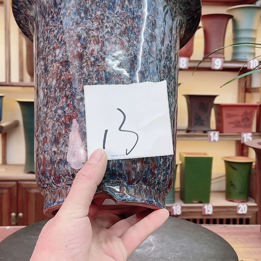 【闪购商品】紫砂花盆小****风兰花75665842587555878