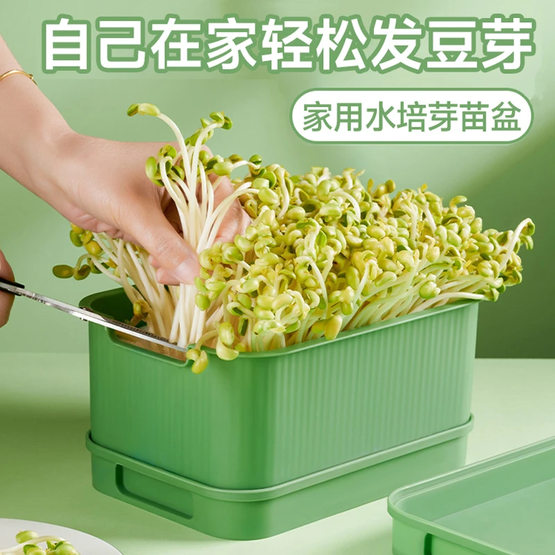 四季吃新鲜豆芽全自动豆芽发芽神器食品级大号水培育苗托盘专用盆