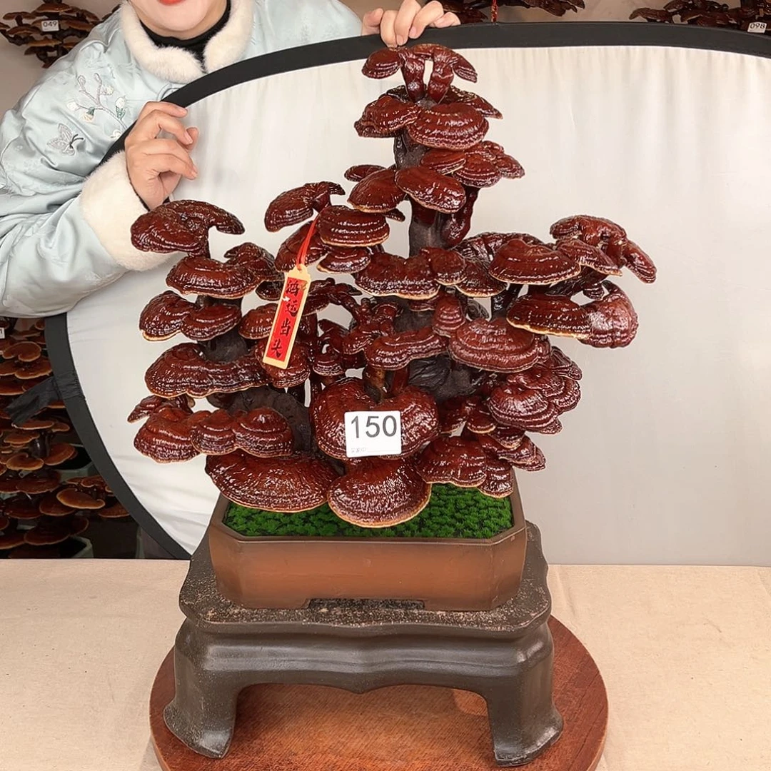 万事如意88888150