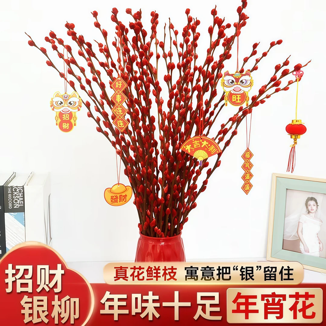 银柳真花鲜枝干花卉绿植摆件室内客厅过新年红色年宵花束装饰永生