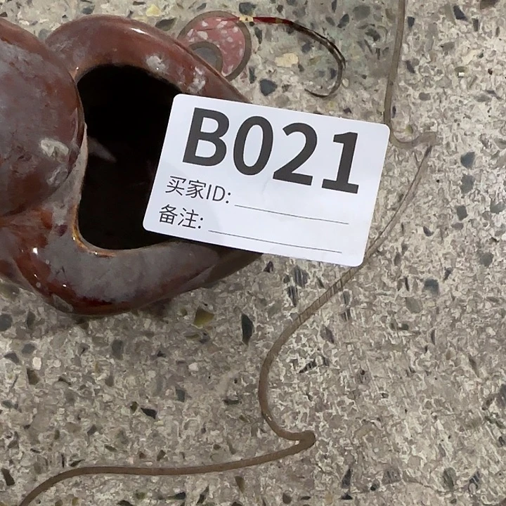 香榧木姓***邪民俗老物件鉴赏