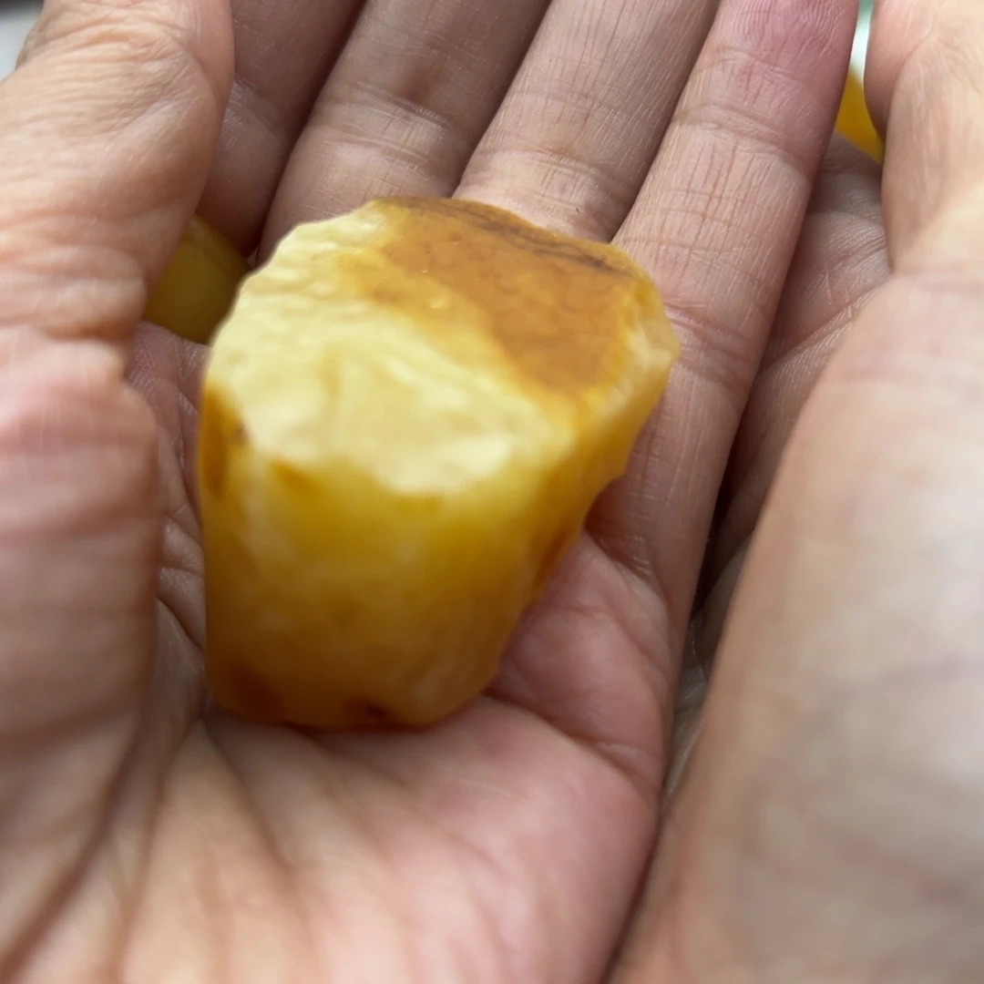 定制琥珀未镶嵌長*树琥珀