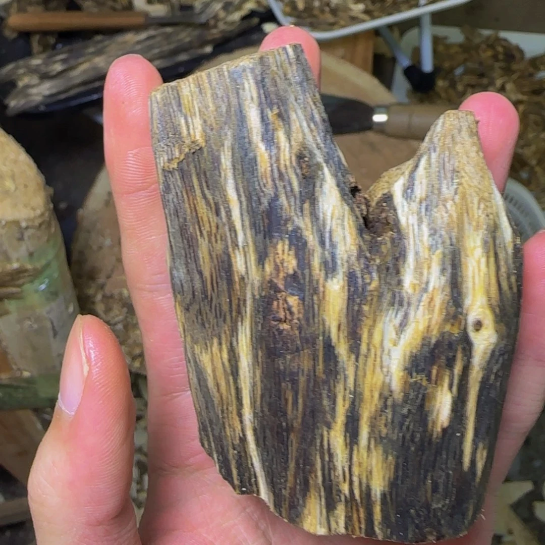 大***午沉香虫漏摆件发一份