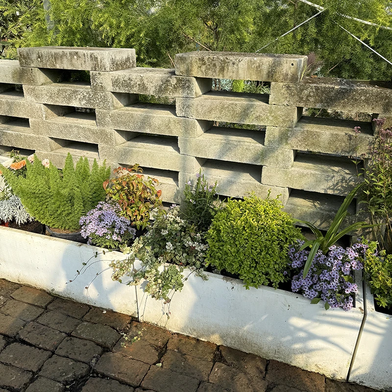 罗曼的花园低维护低矮花境组合盆栽苗观叶开花低维护耐寒耐热绿植