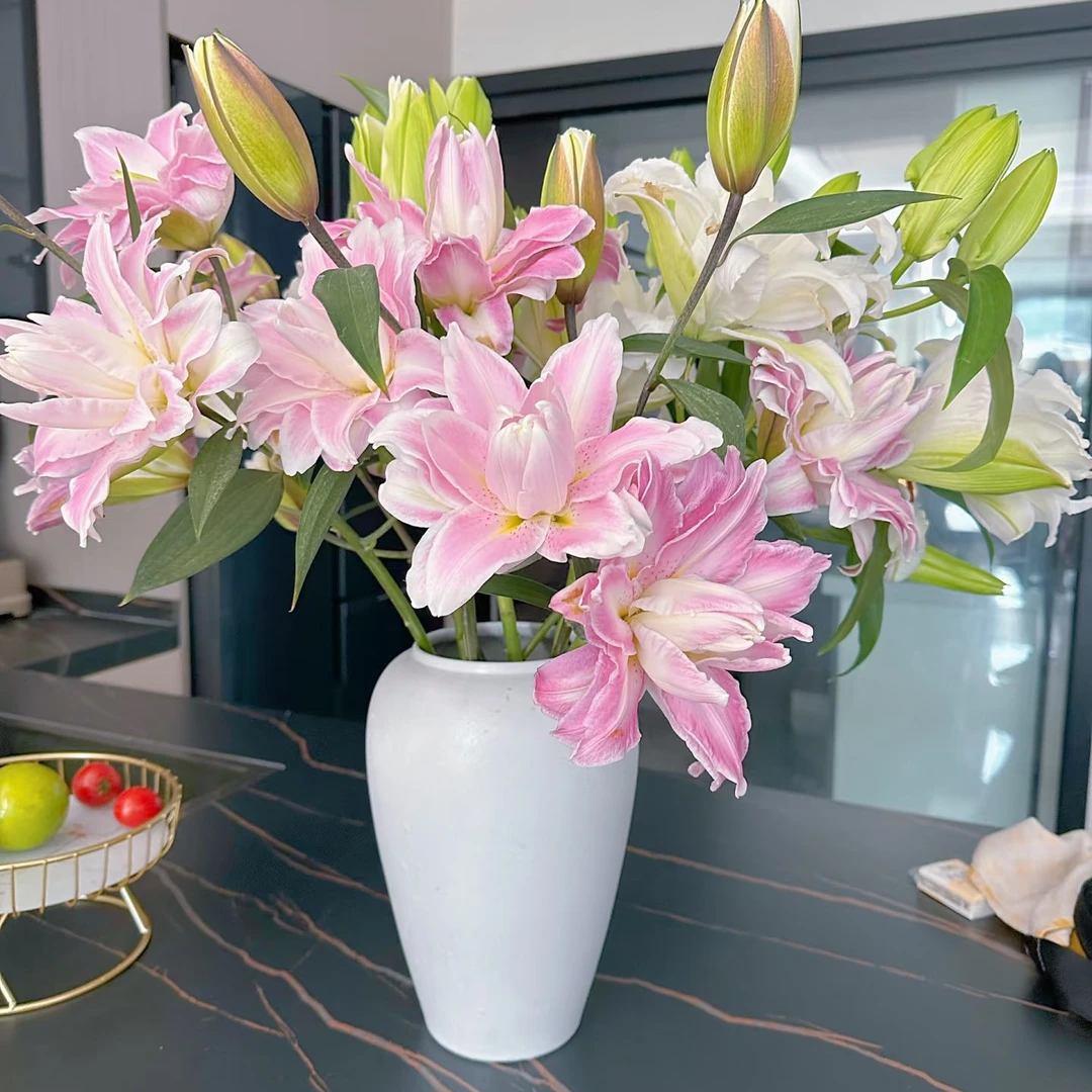 重瓣百合 白百合粉百合多瓣香味百合 常州小时达 同城派送