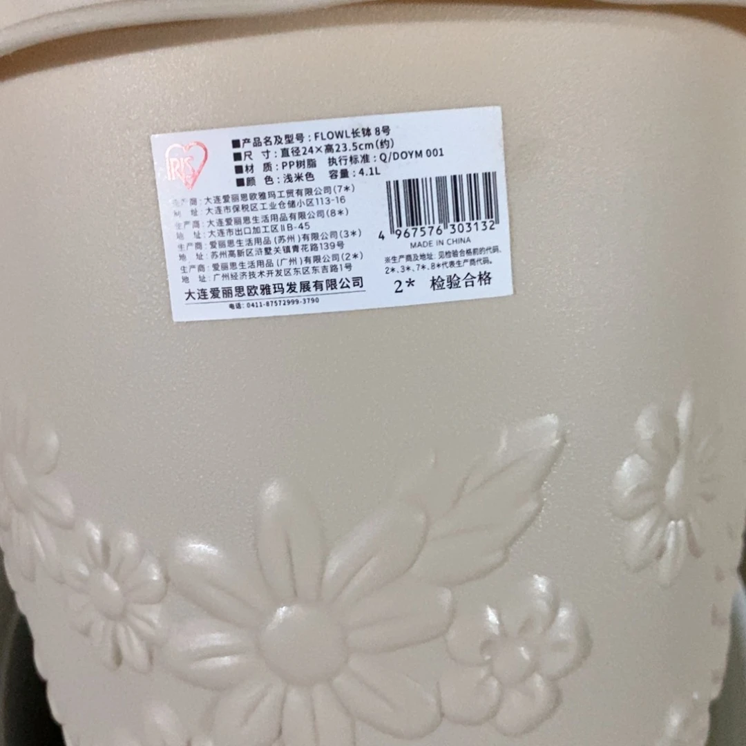 5个爱丽丝长钵浮雕8号米色无托