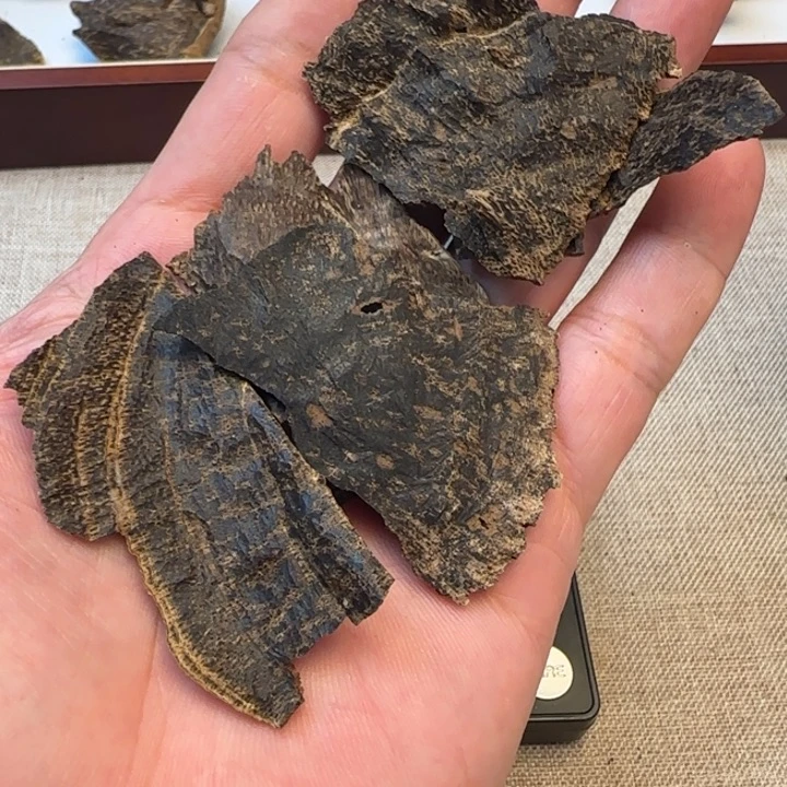 沉香摆件东方沉水包头10克