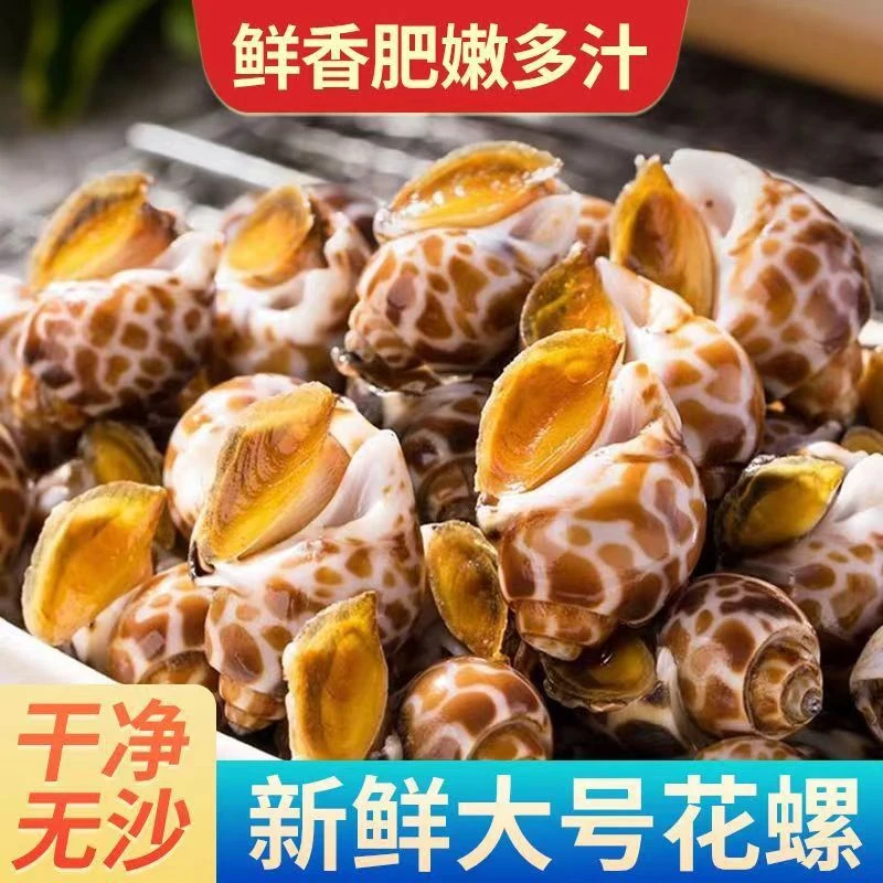 海哥鲜速达 大号花螺500克/盒*4盒 东风螺 鲜活速冻