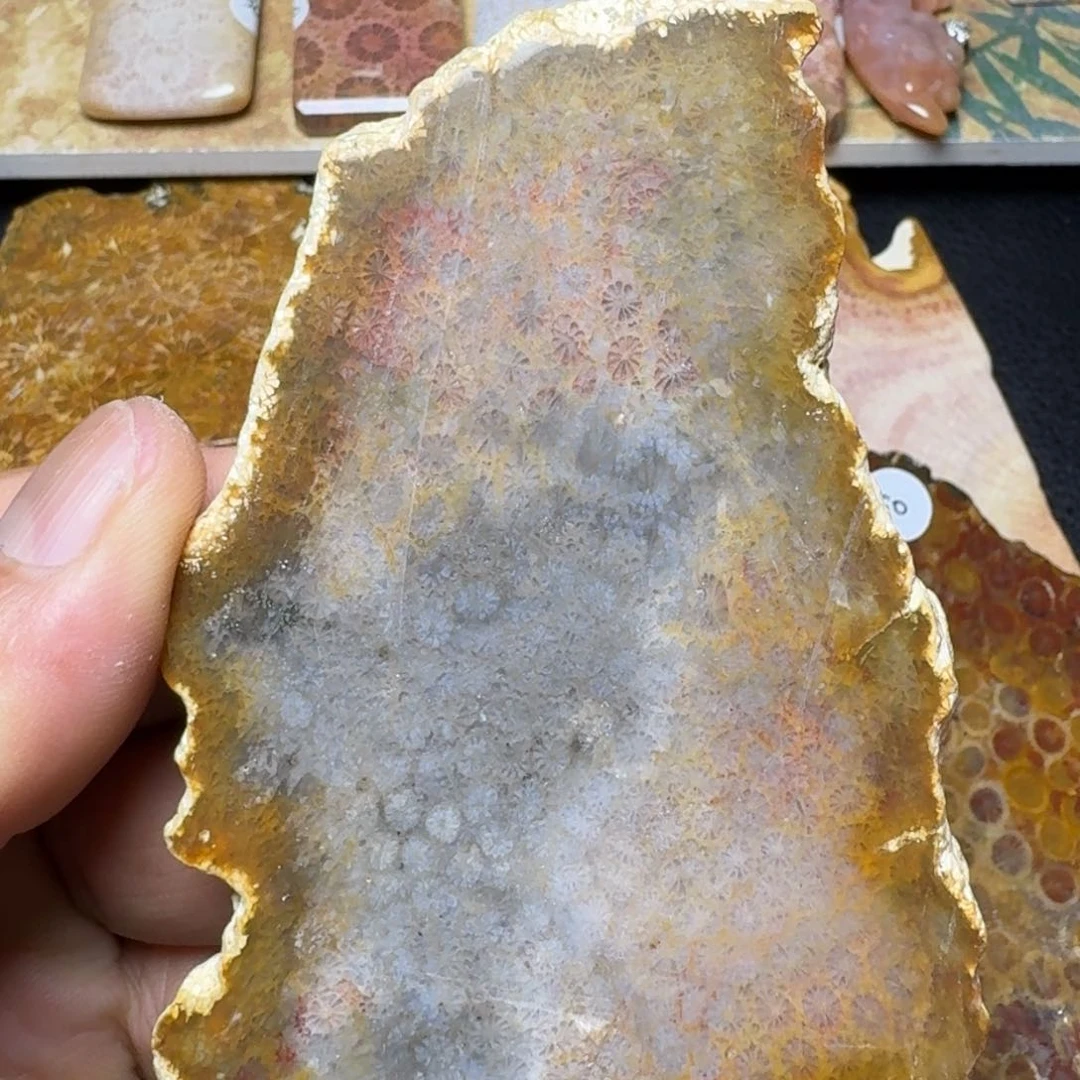 硅化玉纯天然色有机玉石保真色片料未镶嵌一件也包邮