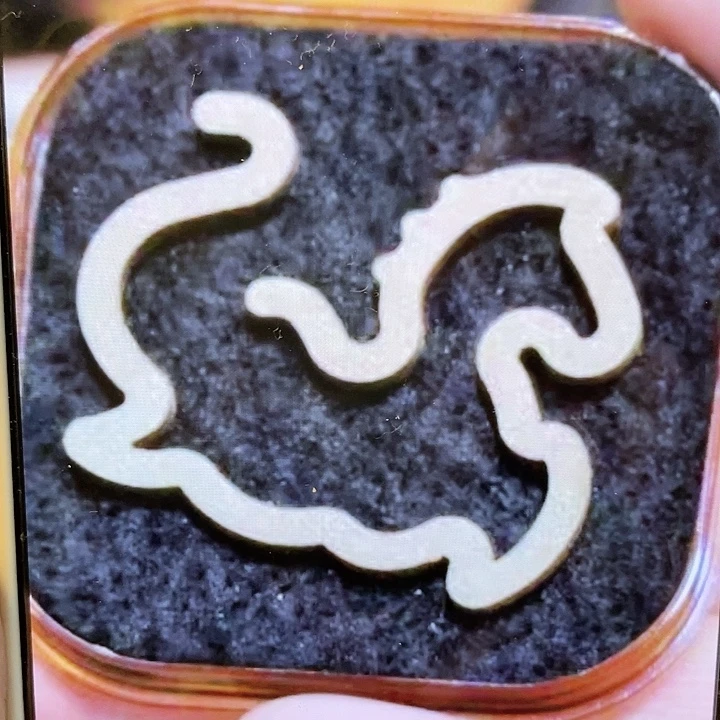 线香莞香白棋无水无粘盘香