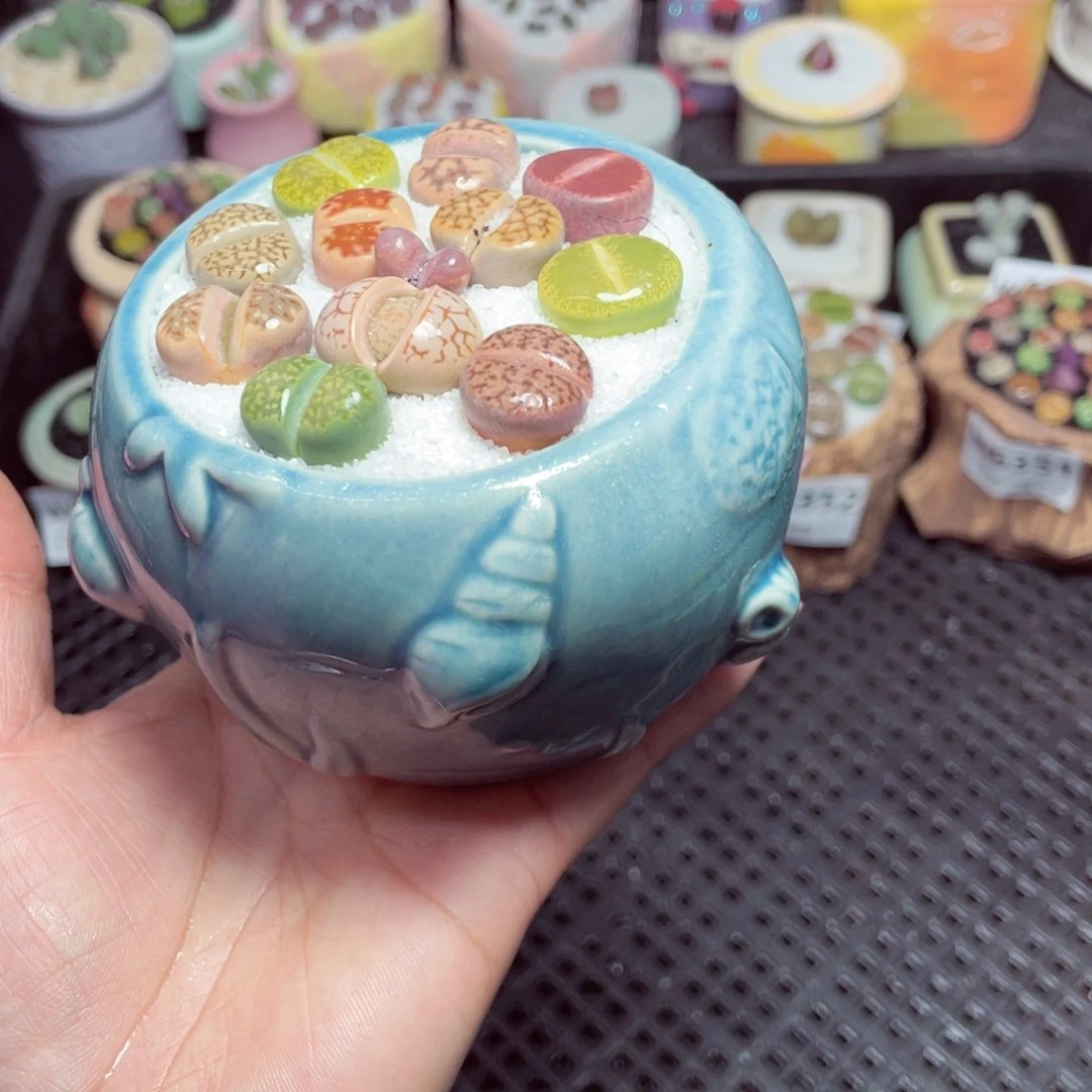 w6353 -零下地区拍保温箱-15支持寄养