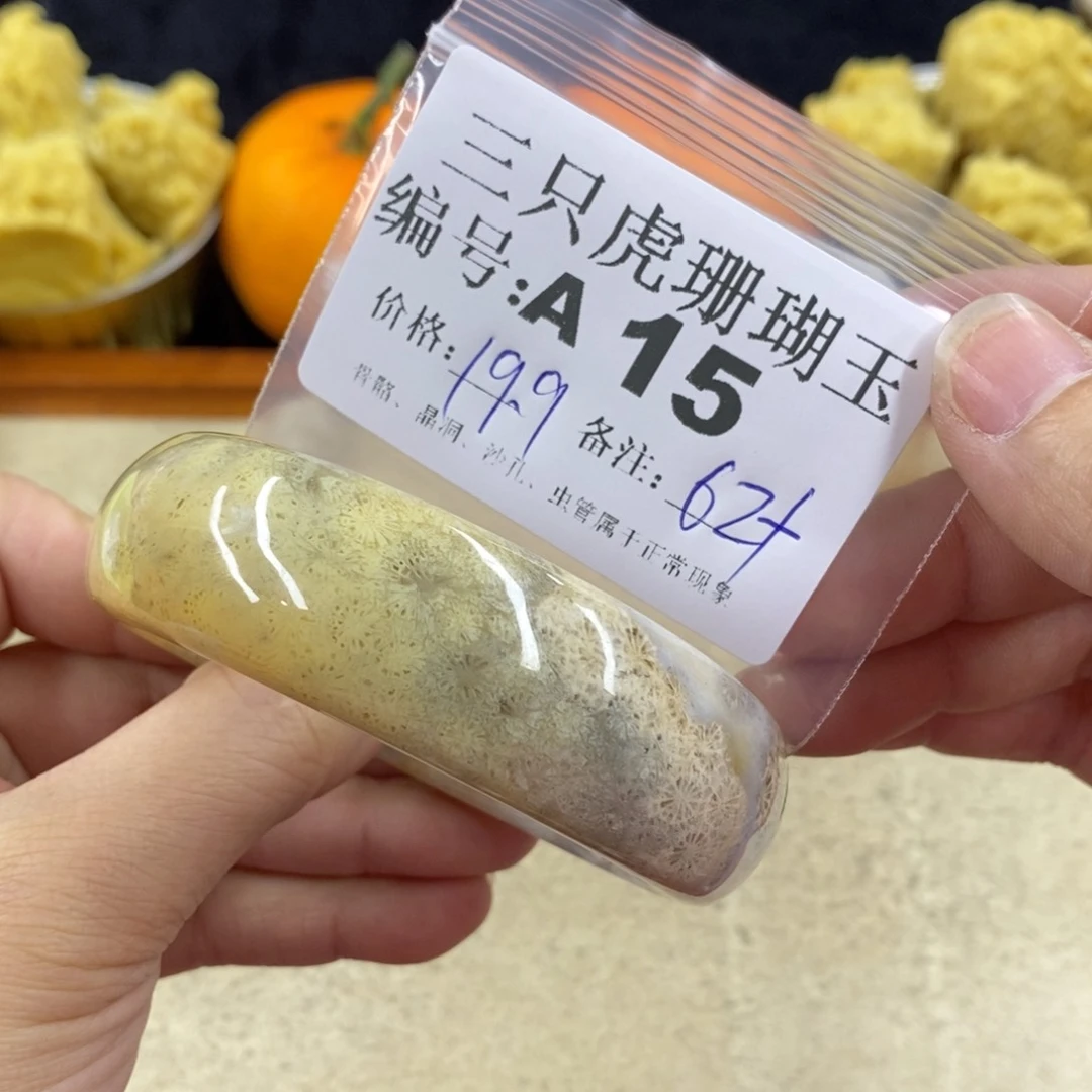 硅化珊瑚（珊瑚玉）1未镶嵌蓝*晶