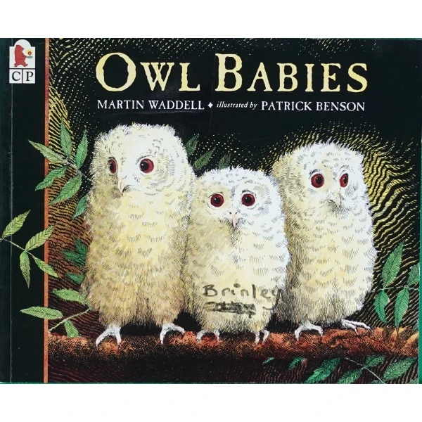 原版儿童绘本3-6岁平装OWL BABIES