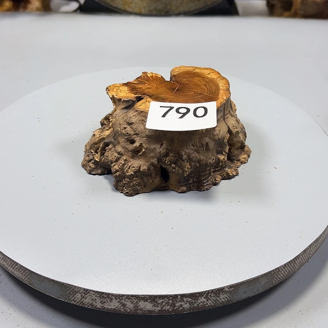 大果紫檀（缅甸花梨）止****觀