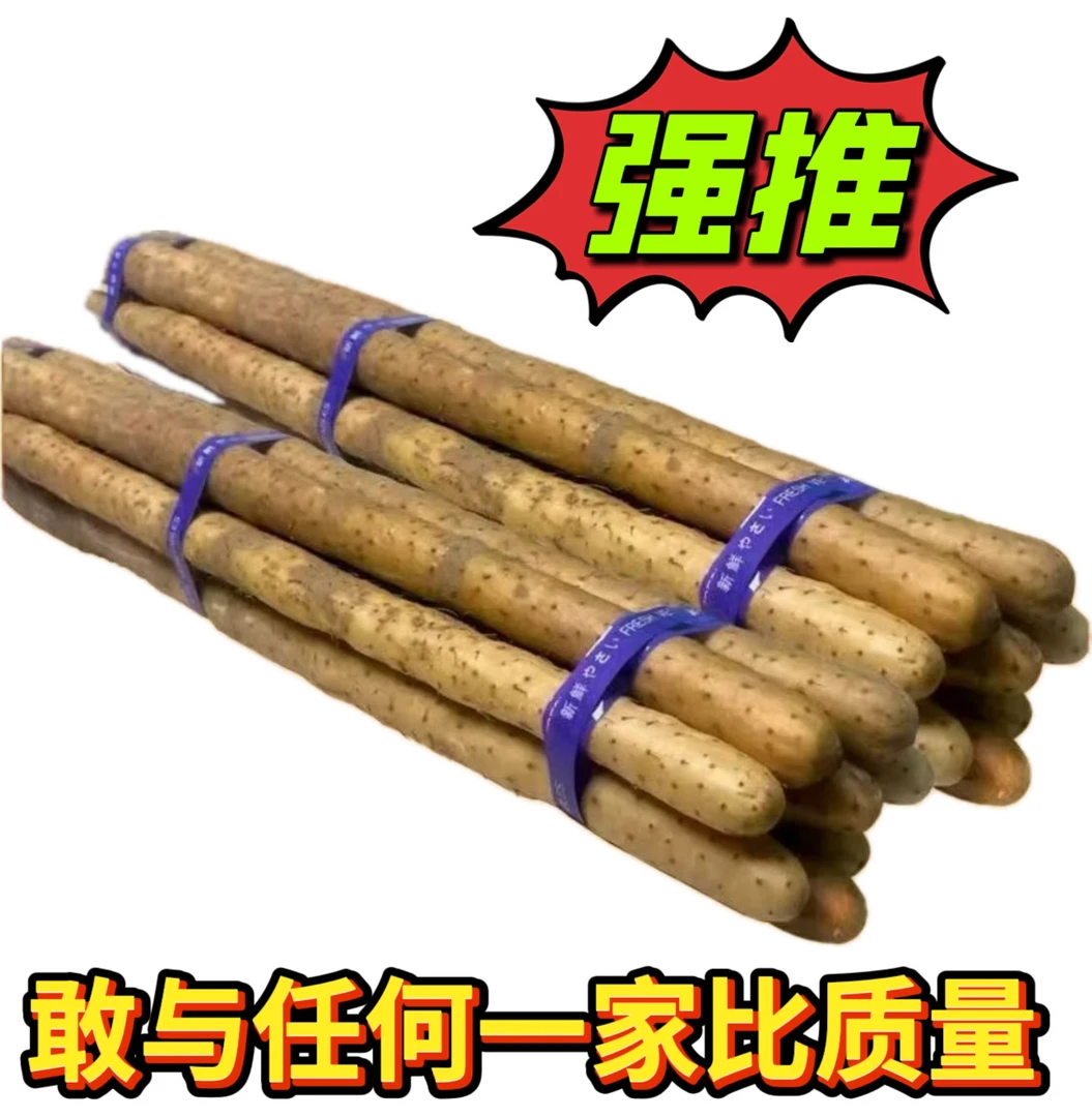 【新鲜发货】软糯滋补特大铁棍山药垆土正宗怀山药甜糯蔬菜