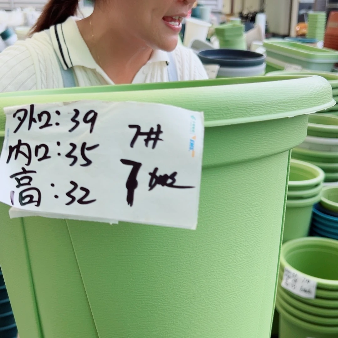 瑕疵青山盆7#果绿色5个无托