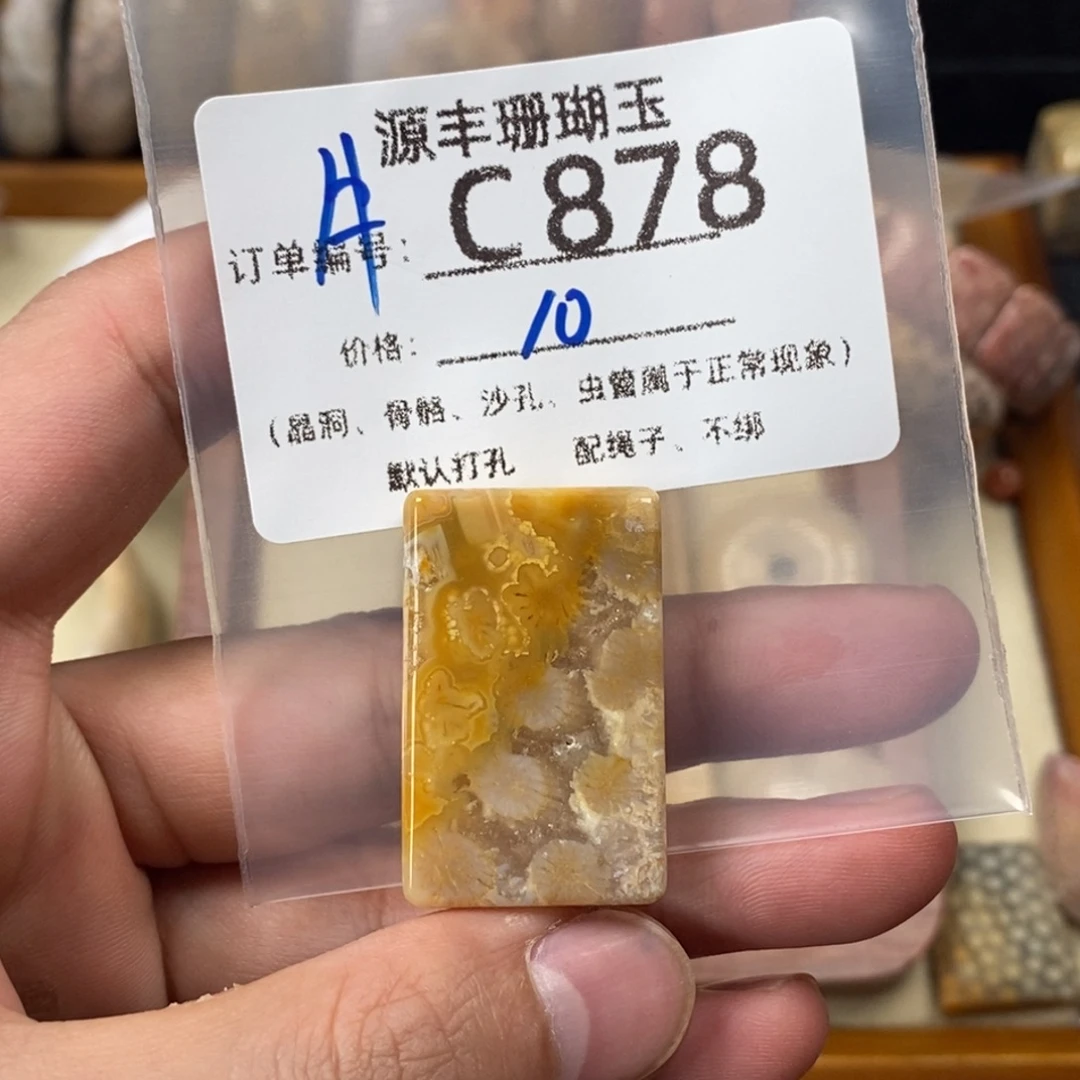 雪***愿硅化玉未镶嵌颈饰