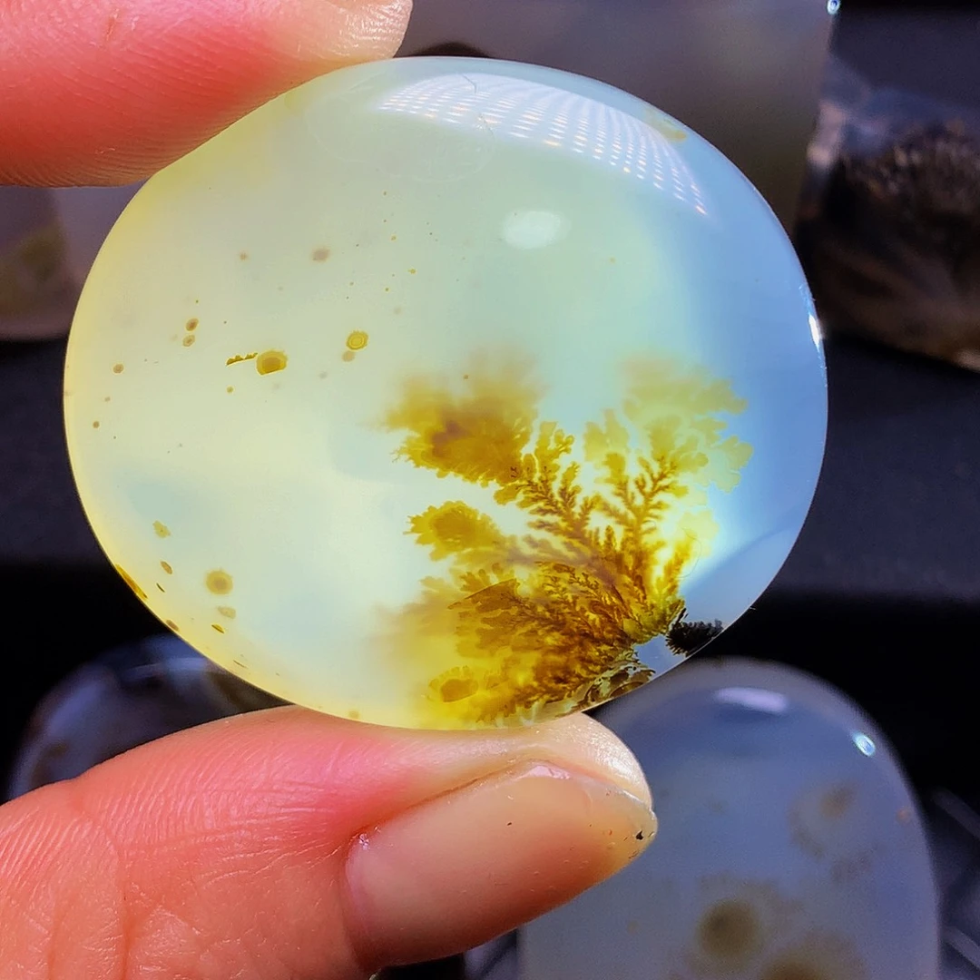 未镶嵌颈饰玛瑙/玉髓41