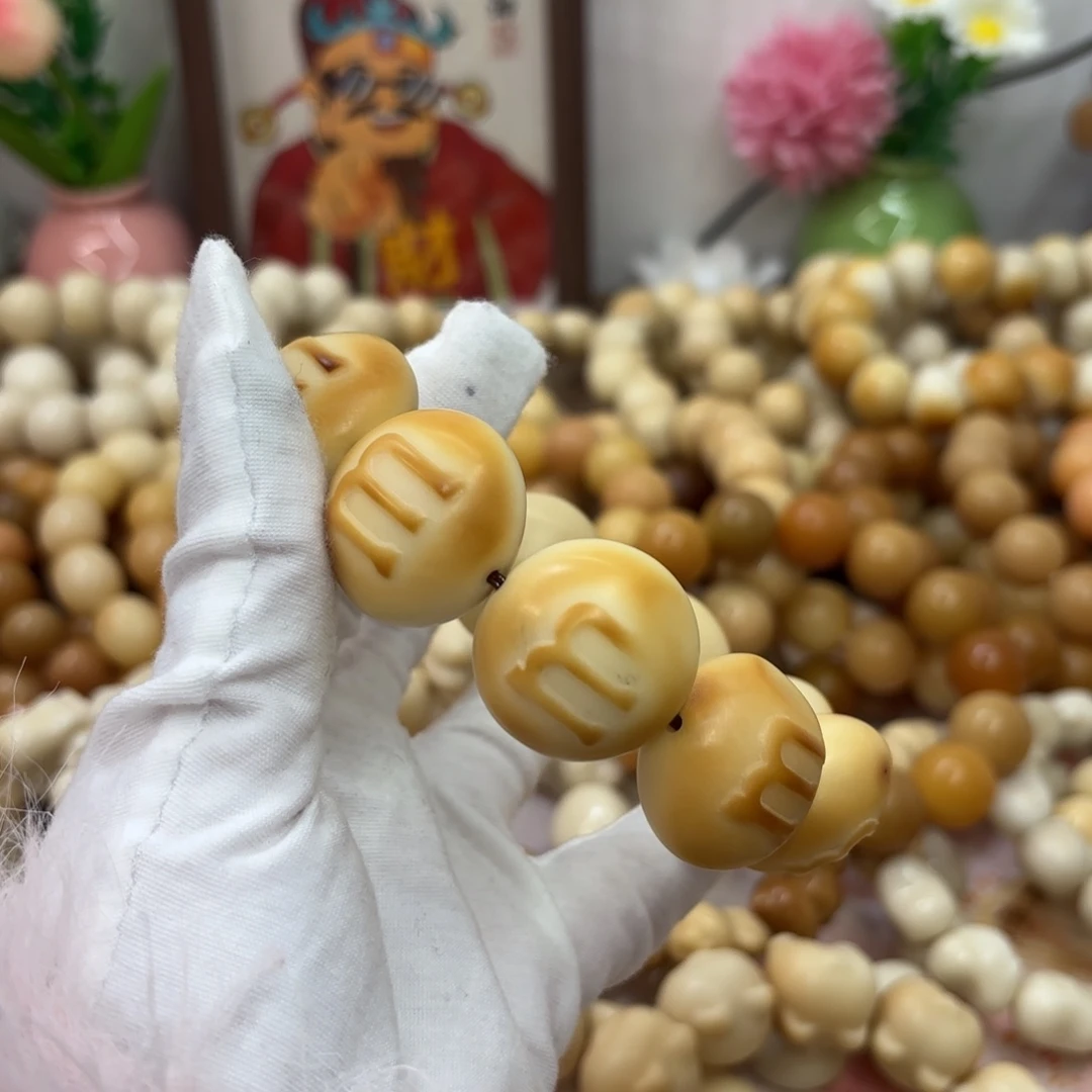 吊坠菩提根/象牙果27干磨瑕疵牙果m豆380