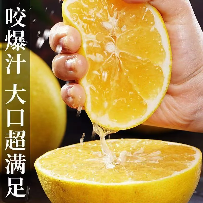 新鲜采摘当季孕妇水果台湾黄金爆汁葡萄柚非西柚纯甜柚子