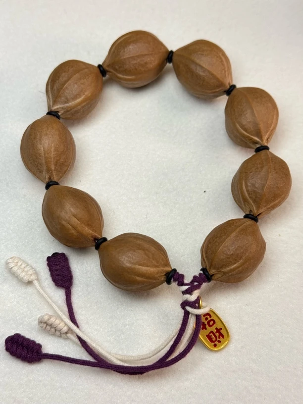 2.1*2.7梅林铁核素串