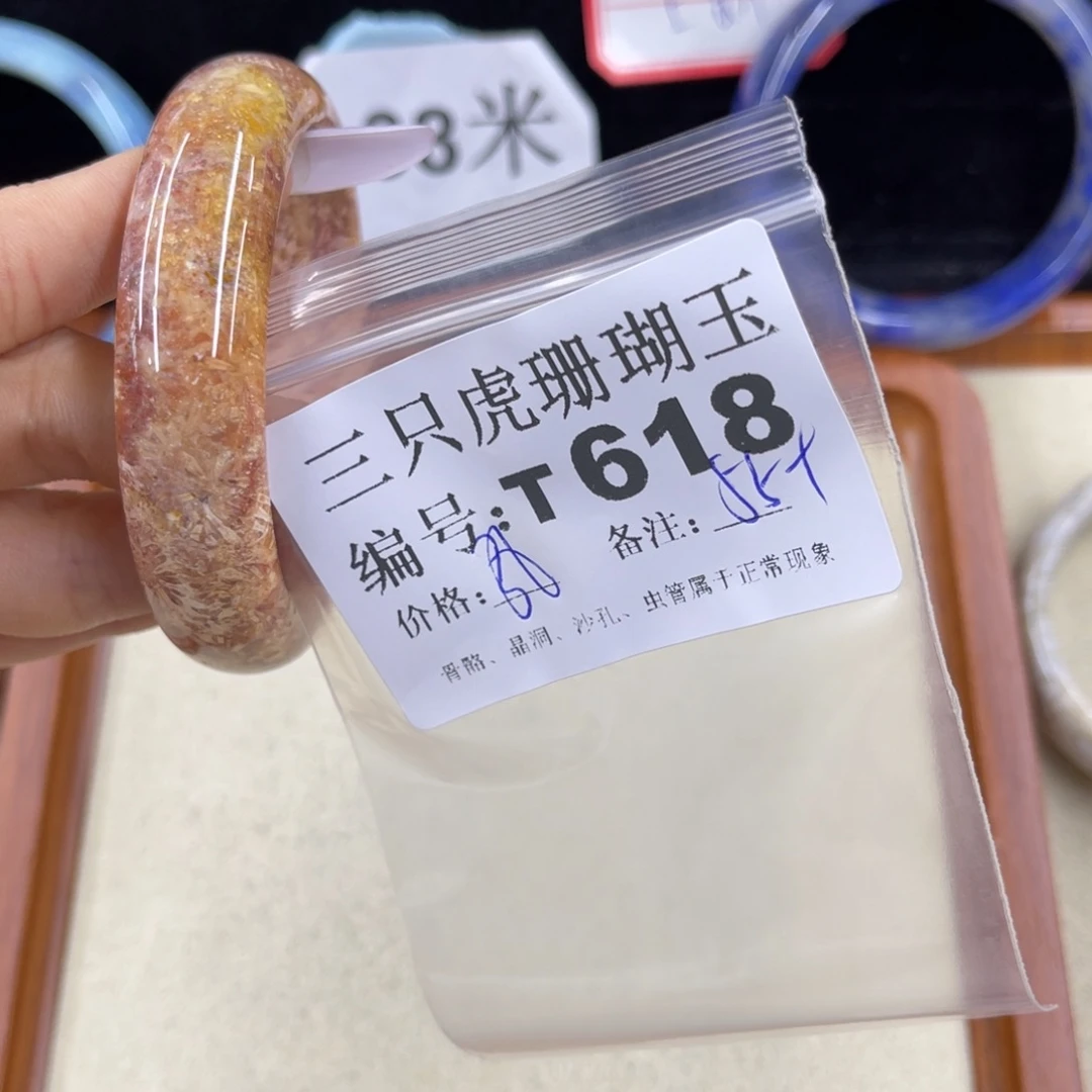 k***y硅化珊瑚（珊瑚玉）h未镶嵌