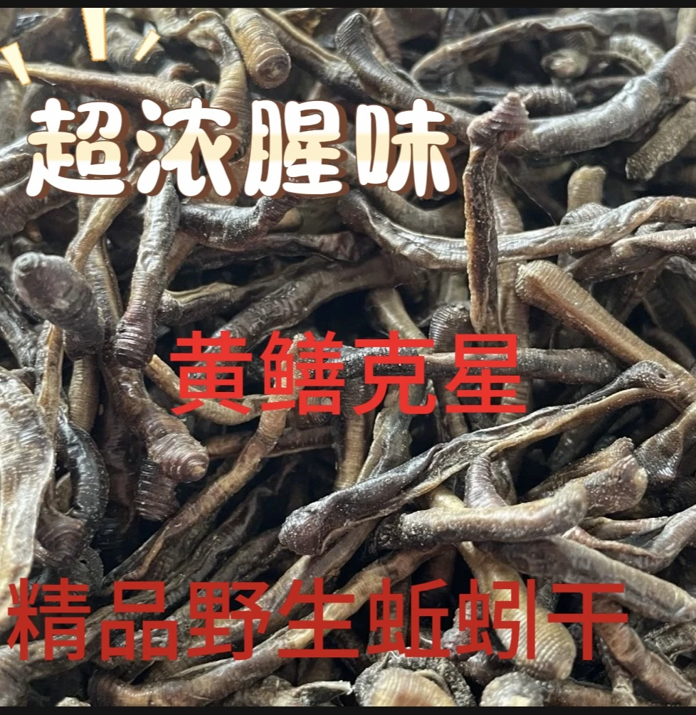 青蚯蚓干新货蚯蚓抓黄鳝龙虾泥鳅优质诱饵打窝