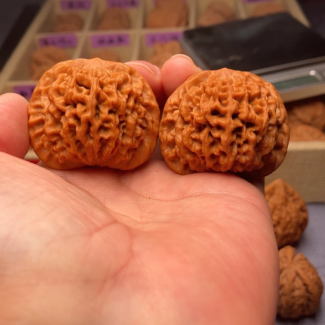 文玩核桃把件宝鸡一代秦闷狮子头42（头货精品