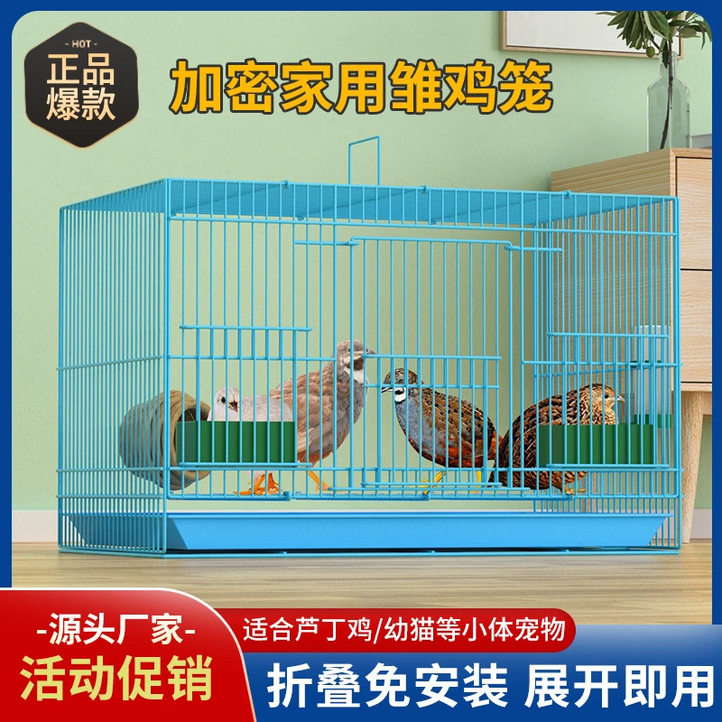 室内家用雏鸡笼小鸡笼柯尔鸭笼芦丁鸡笼专用笼加密加大空间鹌鹑笼