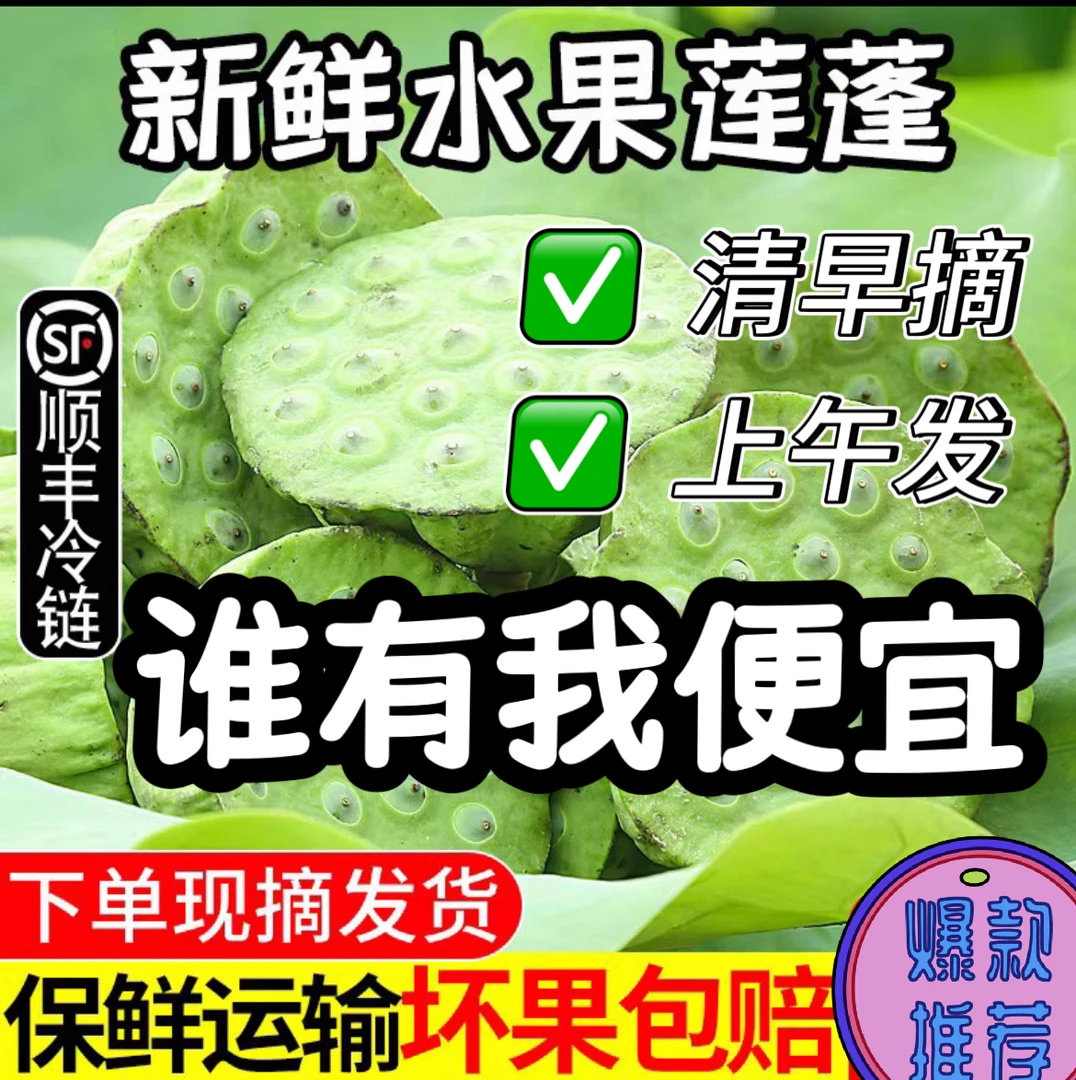 新鲜水果莲蓬批发现摘现发孕妇儿童夏季消暑水果食用莲子