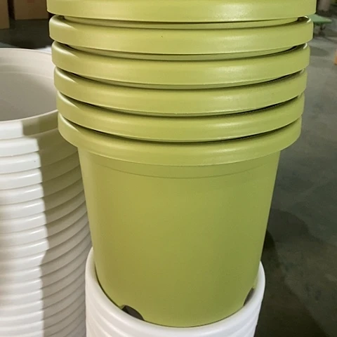树脂特价5号6个无托果绿