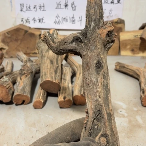 大果紫檀（缅甸花梨）8**9