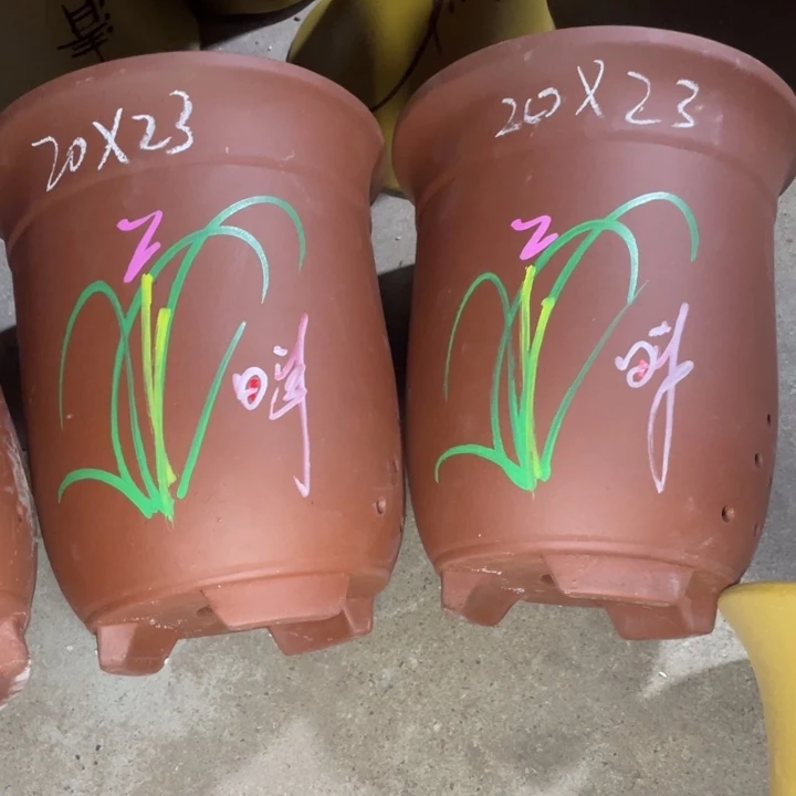 咋紫砂紫砂紫砂紫砂