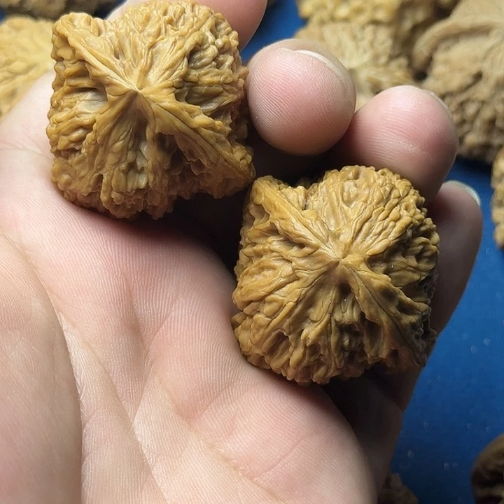 41全品无修南疆以打底