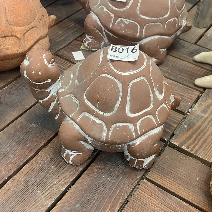 885565555555655566655