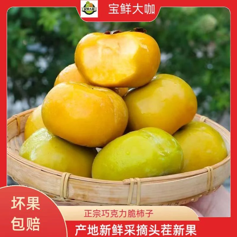 现货【产地直发】现摘巧克力脆柿纯甜新鲜水果4.5斤